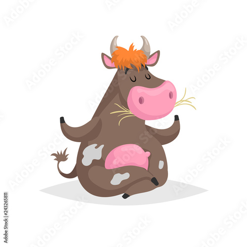 Cartoon brown spotted sitting in meditation pose cow. Farm funny animal chewing straw and relaxing. Isolated on white background. Flat trendy style. Vector illustration.