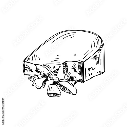 Beautiful vector hand drawn Cheese Illustration.