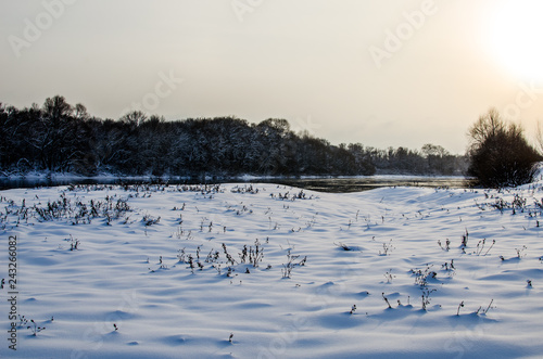Winter river flows along the banks on which trees grow. Winter nature