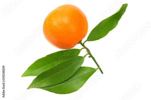 one mandarin with green leaf isolated on white background