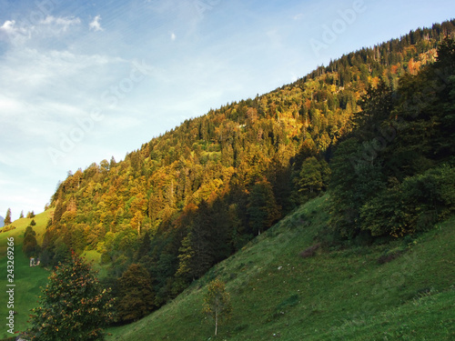 Forests in the Thur River valley or in the Thurtal valley - Canton of St. Gallen, Switzerland photo