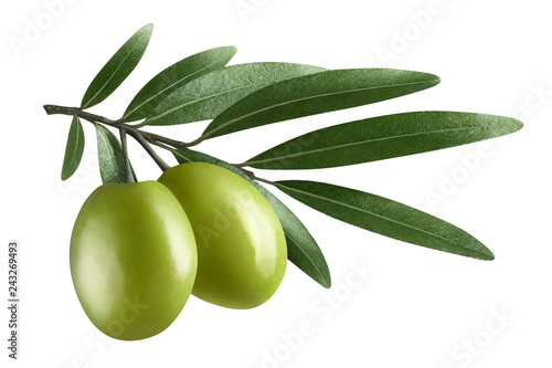 Olive branch with two green olives, isolated on white background