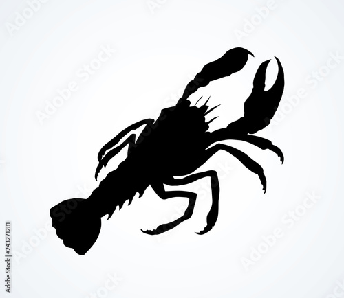 Lobster. Vector drawing