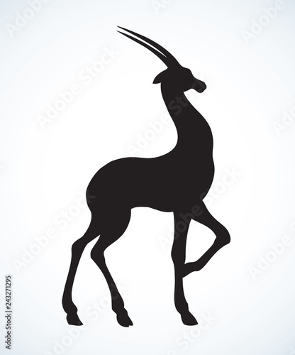 Antelope. Vector drawing