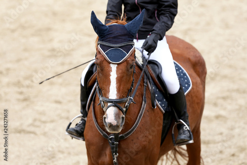 Rider girl at advanced dressage test on equestrian competition © acceptfoto