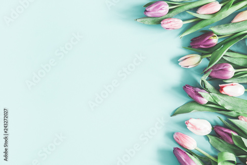 Flowers composition. Tulip flowers on pastel blue background. Valentines day, mothers day, womens day concept. Flat lay, top view, copy space