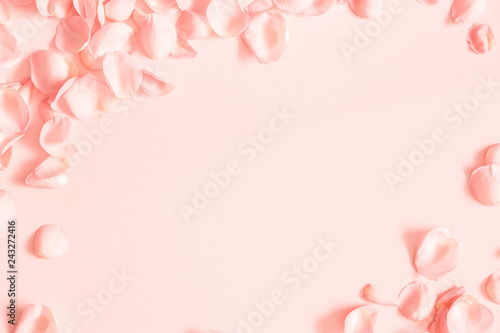 Coral rose flower petals on coral background. Flat lay, top view, copy space