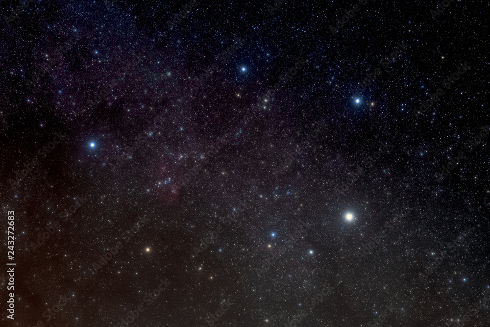 Naklejka premium ぎょしゃ座