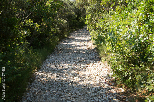 Chemin caillouteux de petite randonnée du côté de Sanilhac dans le Gard