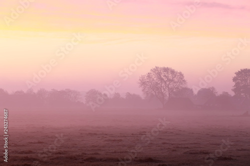 dramatic purple foggy sunrise in countryside