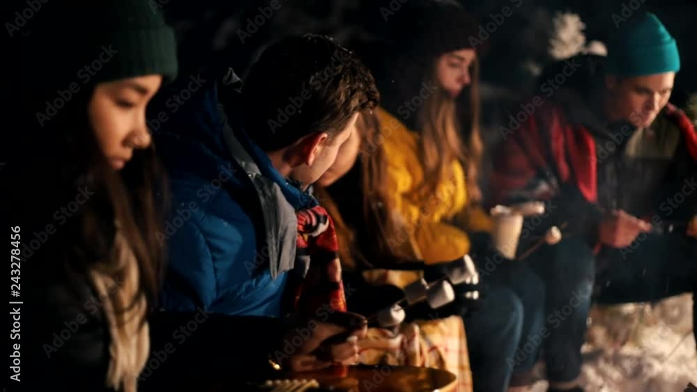 Young people in the winter forest sitting by the fire. Warming up marshmello by the fire Young people in the winter forest sitting by the fire. Warming up marshmello by the fire