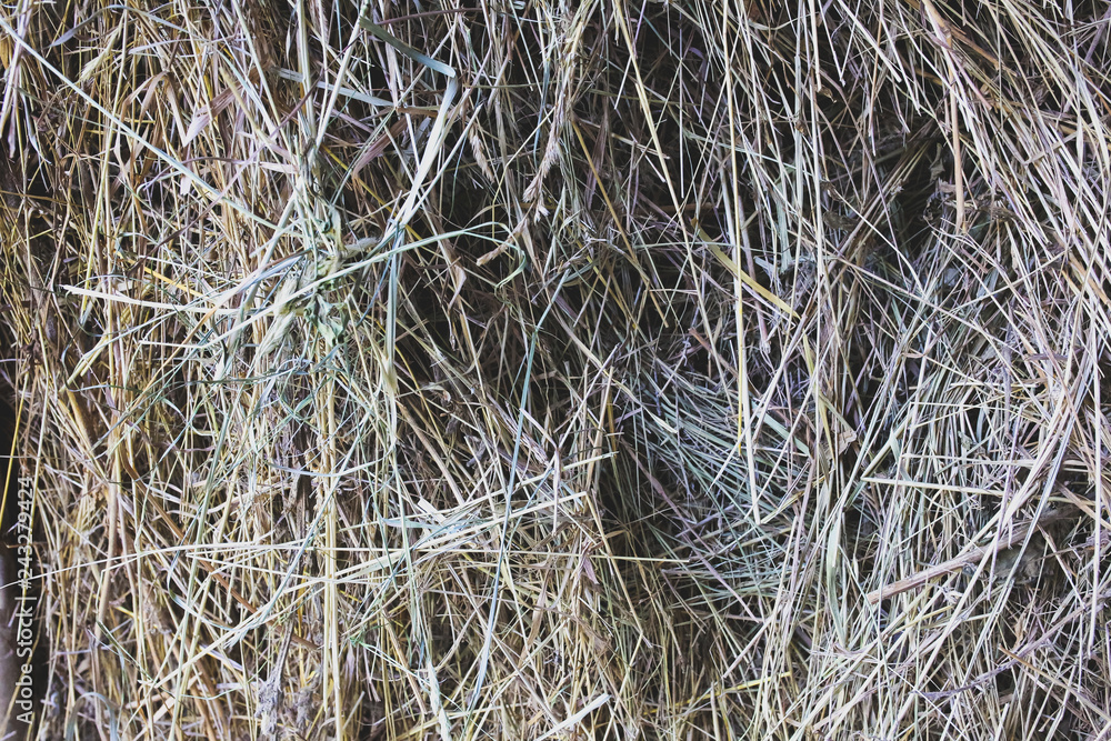 Dry straw background texture. Ecological rustic material. Dry straw background texture. Ecological rustic material.