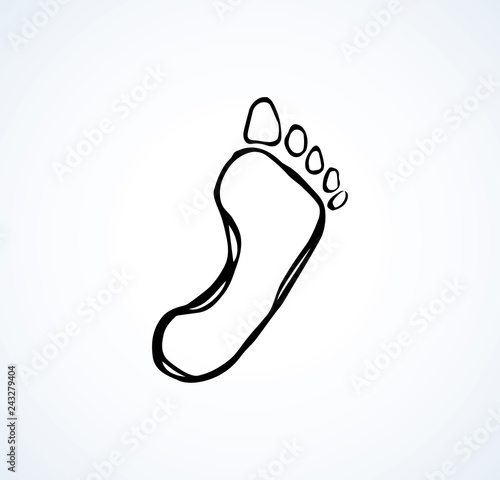 Foot. Vector drawing
