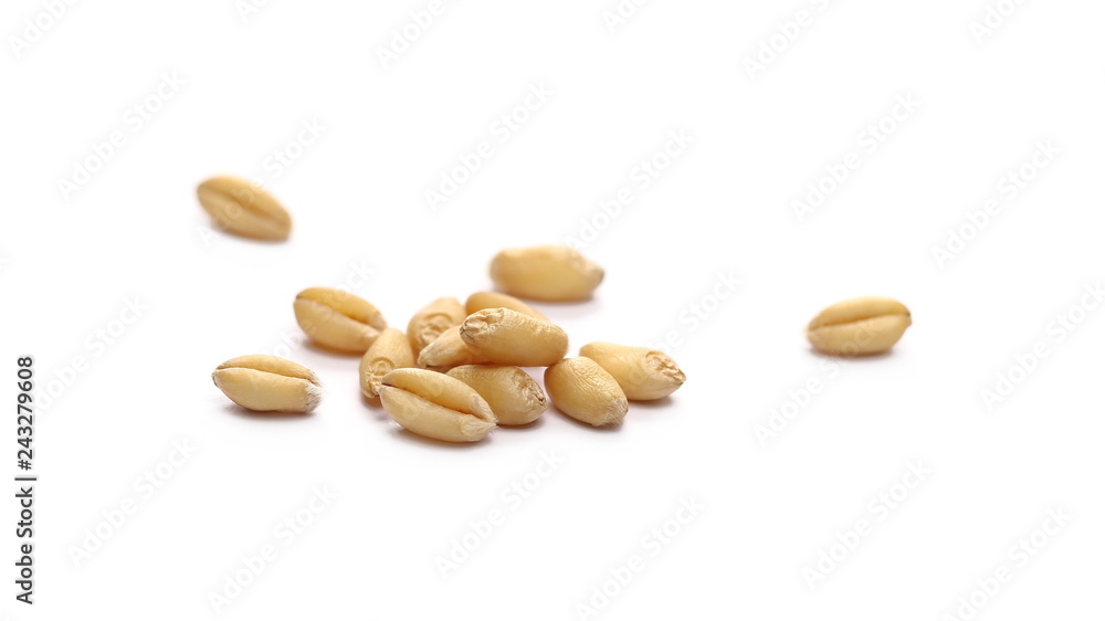 Wheat grains, kernels isolated on white background Wheat grains, kernels isolated on white background