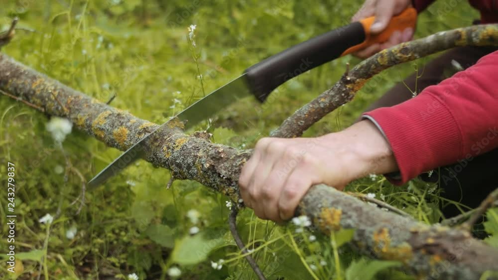 Man sawing wood for campfire in the forest. Close-up saw and lumberjack hand cutting trees outdoors. Man cutting log of wood timber to making campfire on nature. Man sawing wood for campfire in the forest. Close-up saw and lumberjack hand cutting trees outdoors. Man cutting log of wood timber to making campfire on nature.