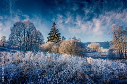 frozen landscape