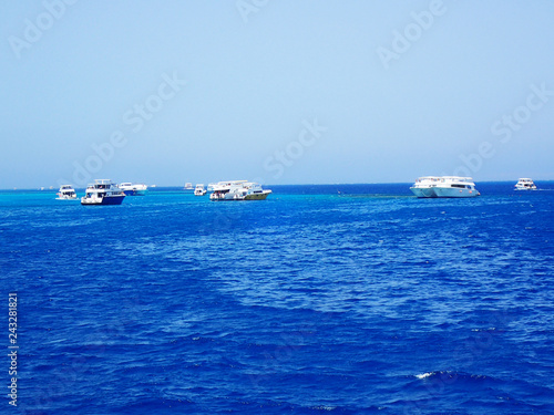 boat in the Egyptian sea © jonnysek