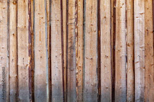 Rough fence made of pine planks.