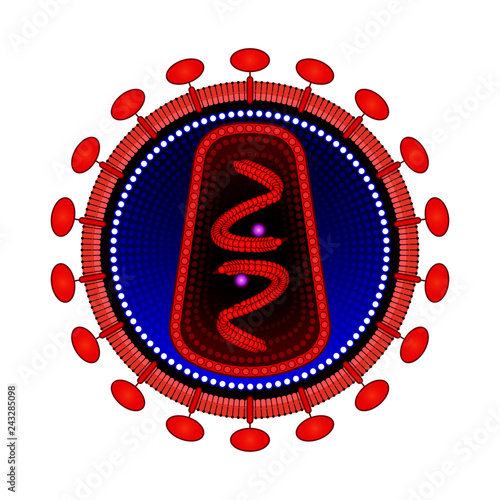 Structure of HIV / AIDS virus