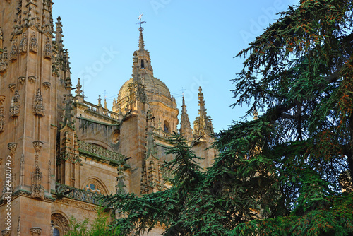 Salamanca, Spain - November 15, 2018: Cathedral of Salamanca.