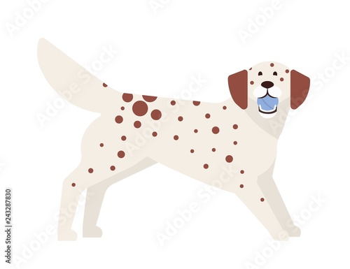 Frisky spotted dog playing with ball. Playful adorable purebred doggy or puppy isolated on white background. Funny cute domestic animal or pet. Colorful vector illustration in flat cartoon style.