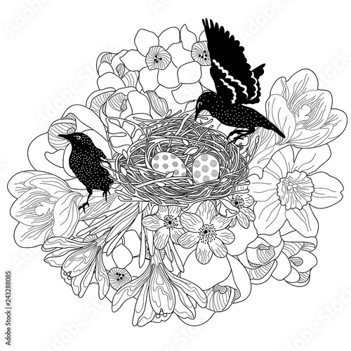vector of a pair of birds make their nest among the flowers guard the eggs