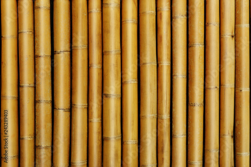 Fototapeta Naklejka Na Ścianę i Meble -  yellow bamboo fence background, yellow bamboo texture stack