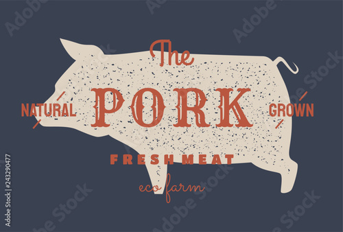 Pig, pork. Vector vintage logo, retro print, poster for Butchery meat shop with text, typography Pork, Meat Shop, Farm Grown, pig silhouette. Logo template for meat business, farmer shop.