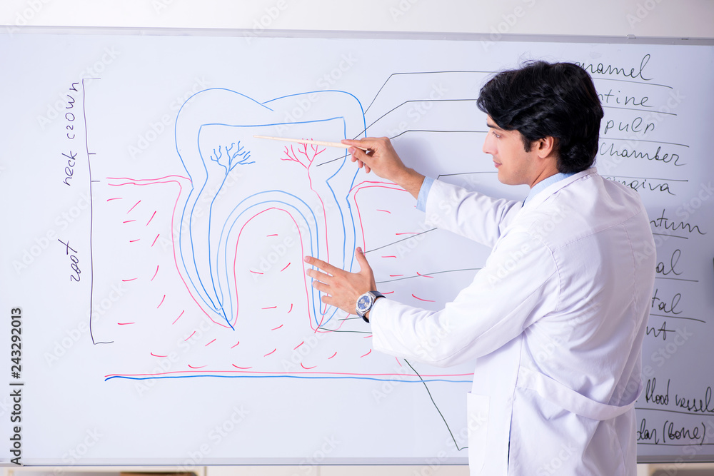 Young handsome dentist in front of the whiteboard Young handsome dentist in front of the whiteboard