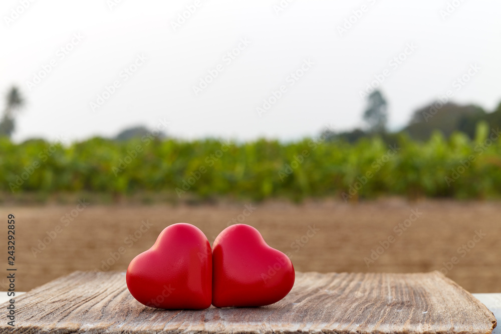 Fototapeta premium Two Heart on a wooden board