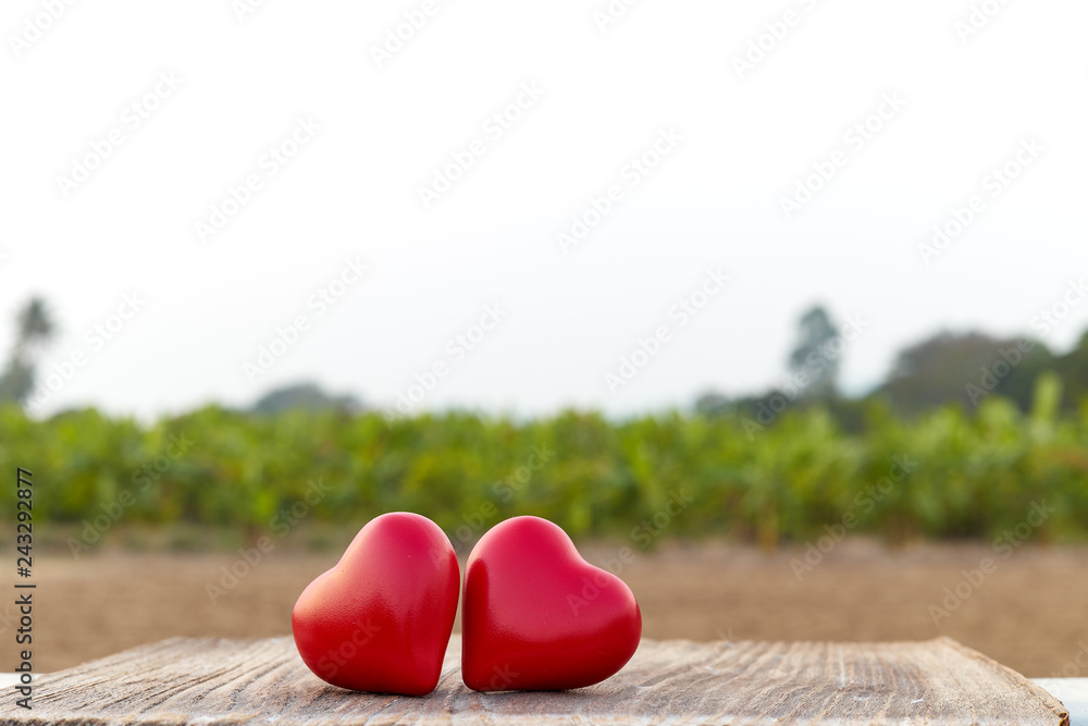 Fototapeta premium Two Heart on a wooden board