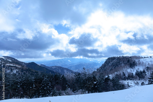 樹氷 雪 雪原 冬