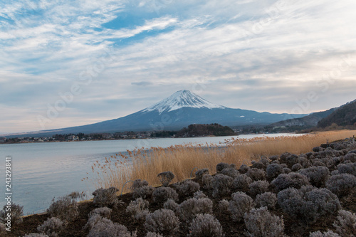 Mount.Fuji with cloud and blue sky backgroung before sunset in Kawaguchiko lake Japan.