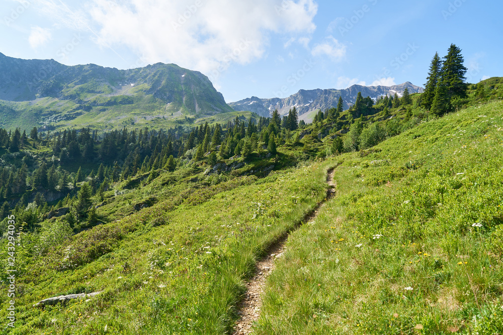 Wanderweg in den französischen Alpen im Sommer