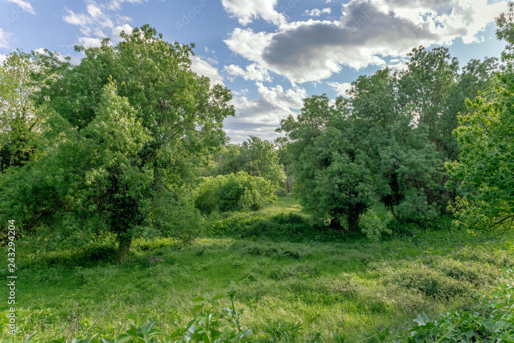 Obraz premium Green fields