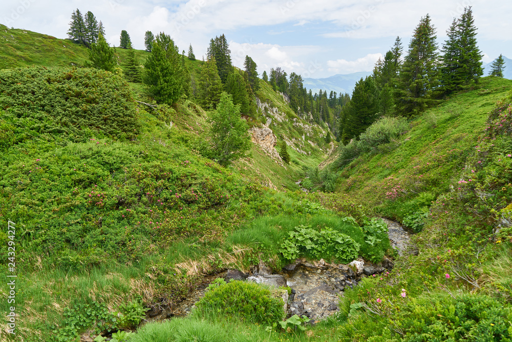 Obraz premium Gebirgsbach in den französischen Alpen