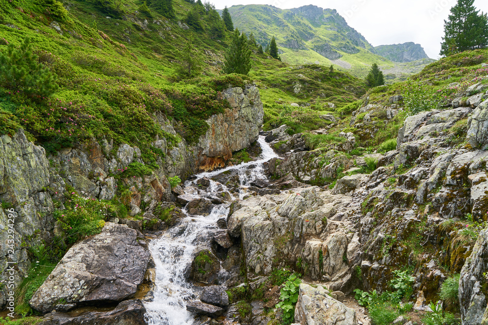 Fototapeta Górski potok w Alpach w lecie