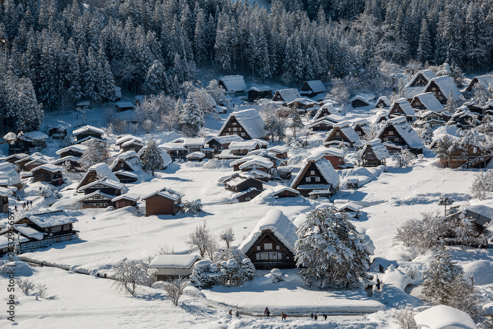 Gassho houses in Shirakawago village with snow covered ground at winter from Shiroyama Observatory  desk  in Shirakawago,Gifu,Japan.
