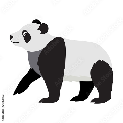Fototapeta Naklejka Na Ścianę i Meble -  Cute wild animal, black and white fluffy panda icon, big kind bear, vector illustration isolated on white background