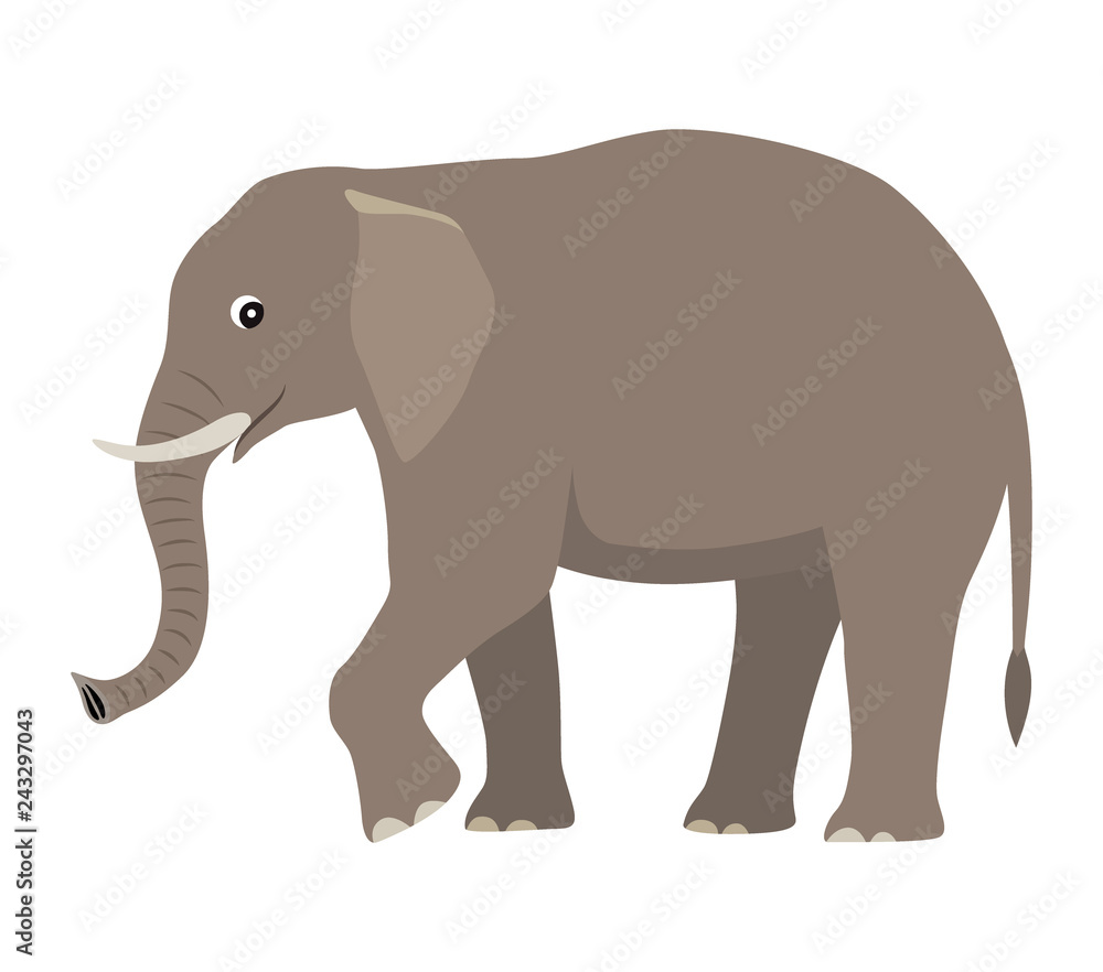 Fototapeta premium Cartoon cute wild animal, big gray elephant, vector illustration isolated on white background