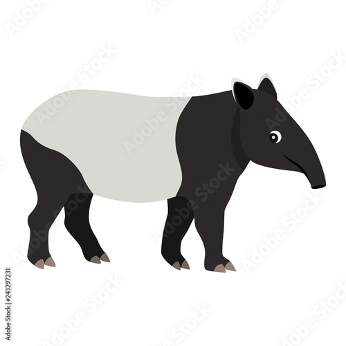 Cute friendly wild animal, black and white tapir icon, vector illustration isolated on white background photo