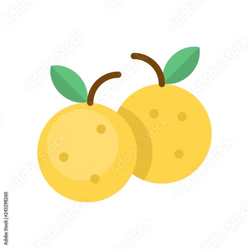 Tangerine vector, Chinese New Year related flat icon