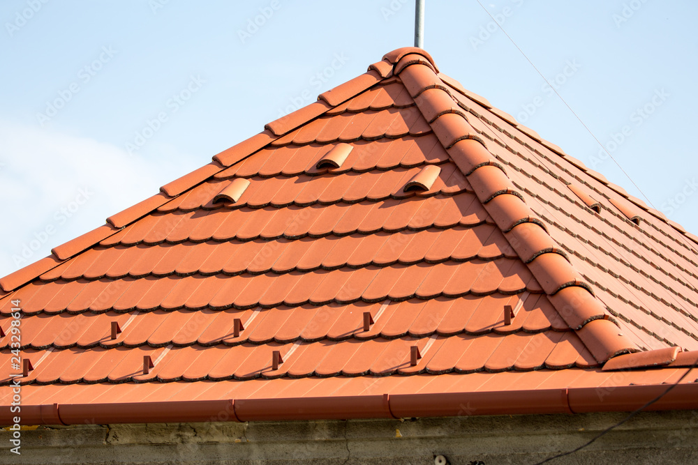 Fototapeta premium red tile roof