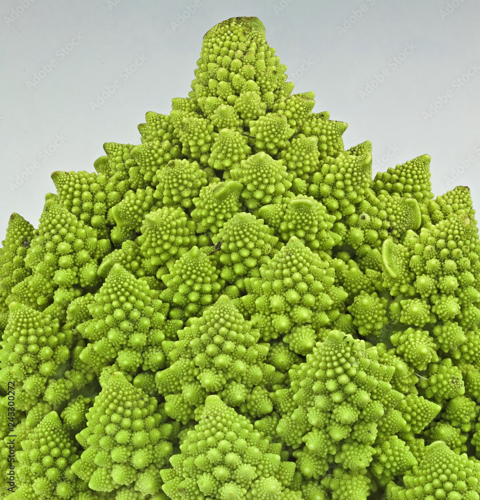 Romanesco Kohl Romanesco Kohl