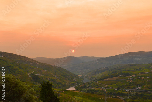 Vineyards in the Douro river valley between Peso de Regua and Pinhao, Portugal Europe © Alena