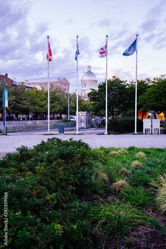 Flags at the vieux port of Montreal