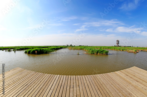 Wetland park scenery photo