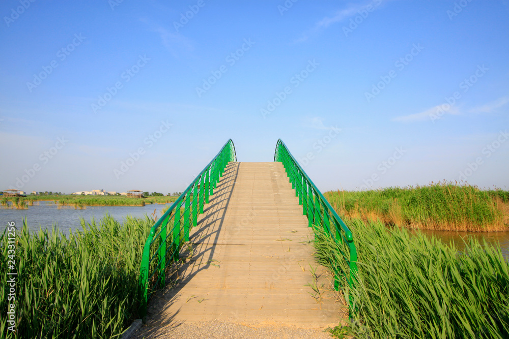 Green iron bridge railings