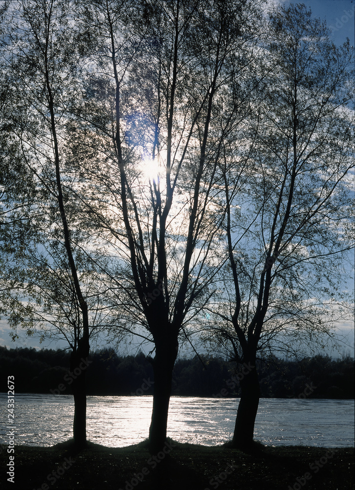 Wisla river near Annopol, Jozefow and Basonia, lubelskie region, Poland Wisla river near Annopol, Jozefow and Basonia, lubelskie region, Poland