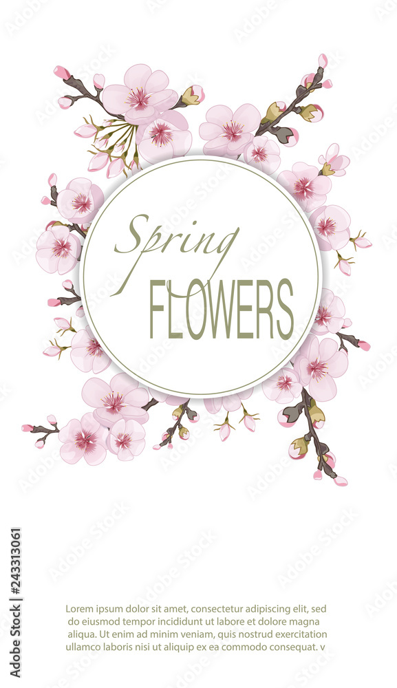Rose on white background. Handmade background in oriental style. Spring frame vertical of sakura flowers. Design element for cover, invitation, booklet, printing.